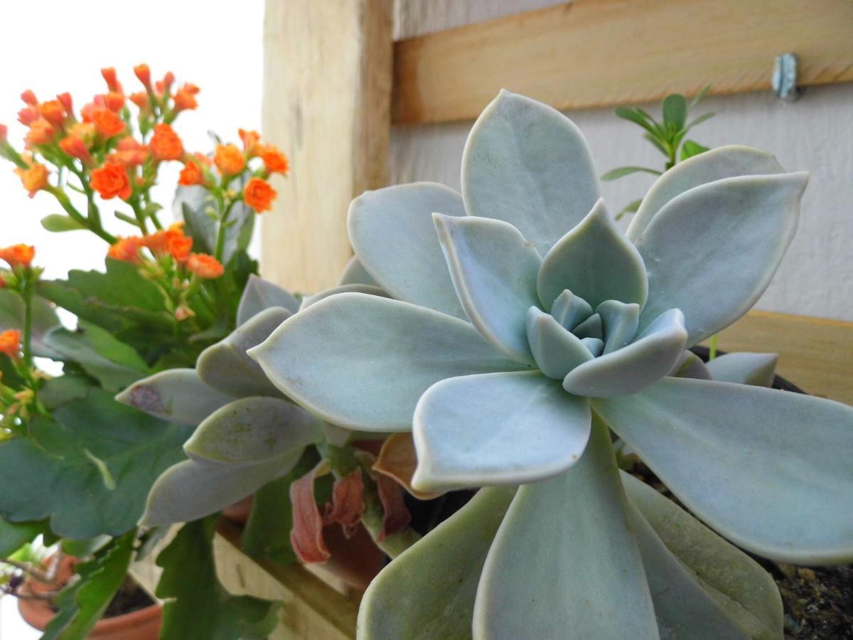Bea'S Bed & Breakfast Tavira Ngoại thất bức ảnh