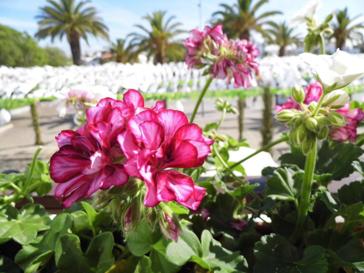 Bea'S Bed & Breakfast Tavira Ngoại thất bức ảnh