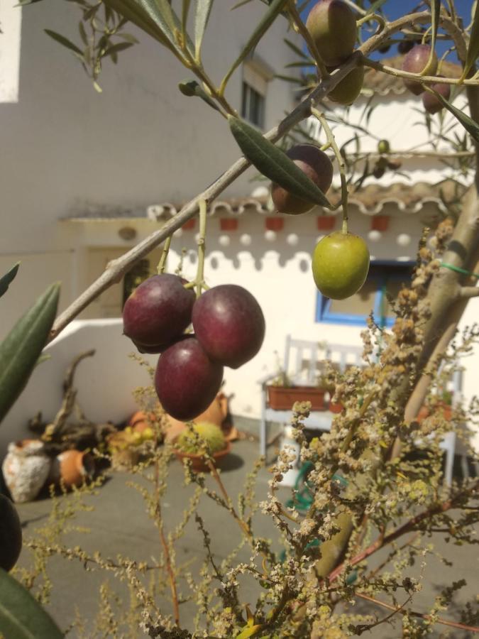 Bea'S Bed & Breakfast Tavira Ngoại thất bức ảnh